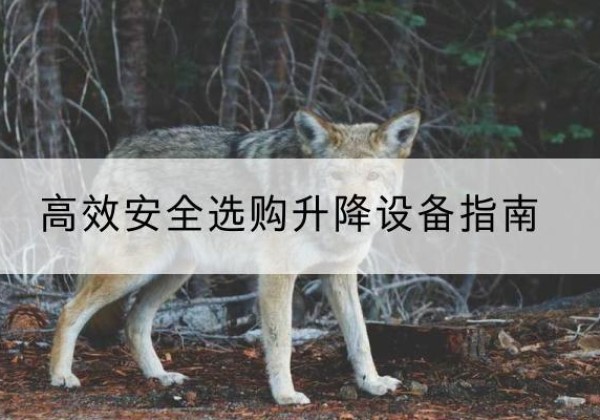 钢城升降货梯厂家推荐-*安全选购升降设备指南