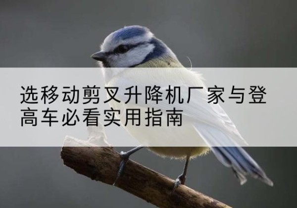 钢城电动升降机厂家-选移动剪叉升降机厂家与登高车必看实用指南