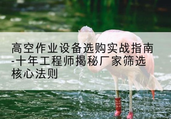 钢城剪叉式升降机厂家-高空作业设备选购实战指南-十年工程师揭秘厂家筛选核心法则